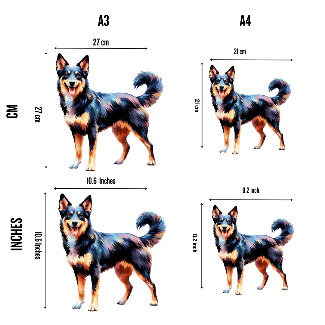 Australian Kelpie Dog - Jigsaw Puzzle