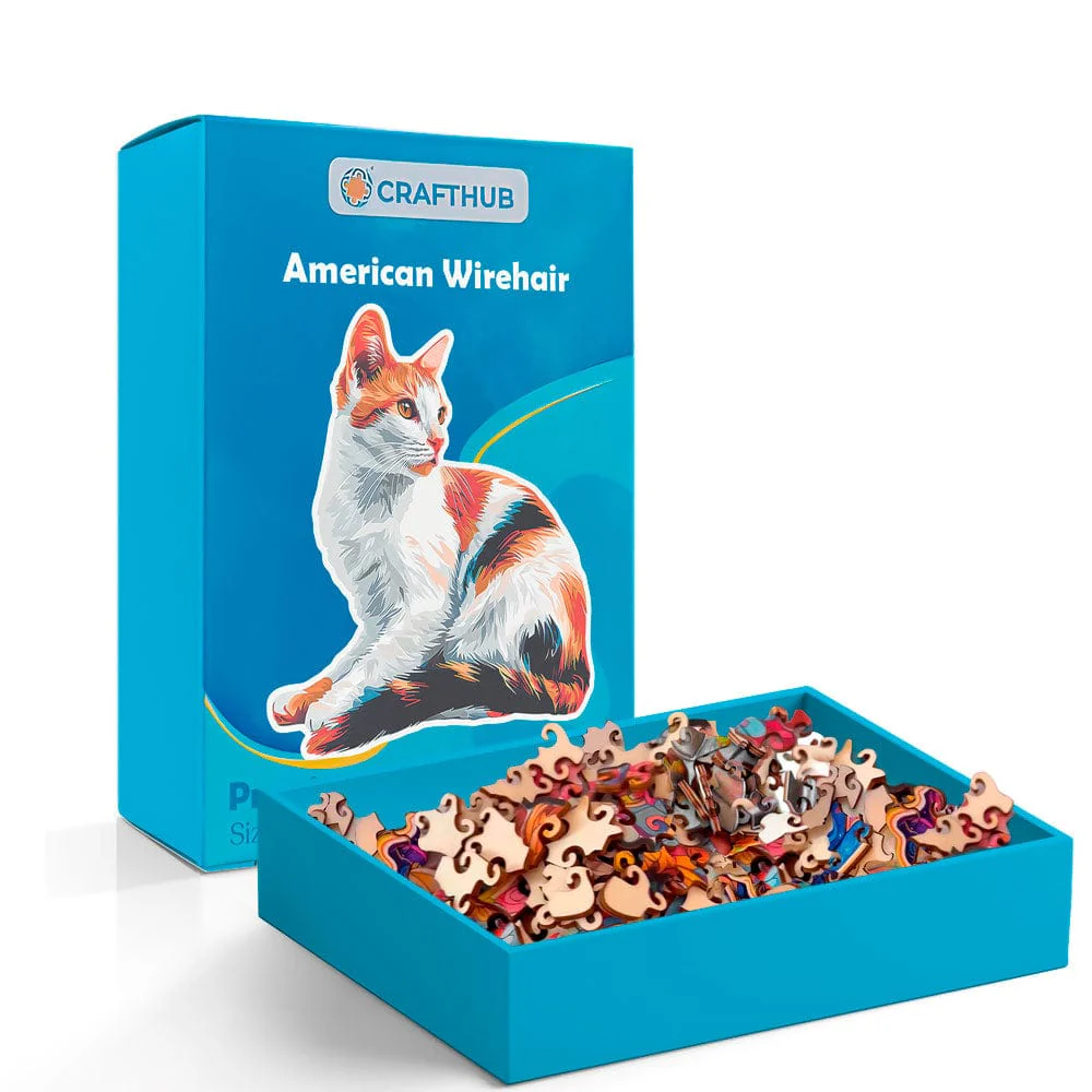 American Wirehair Cat - Jigsaw Puzzle