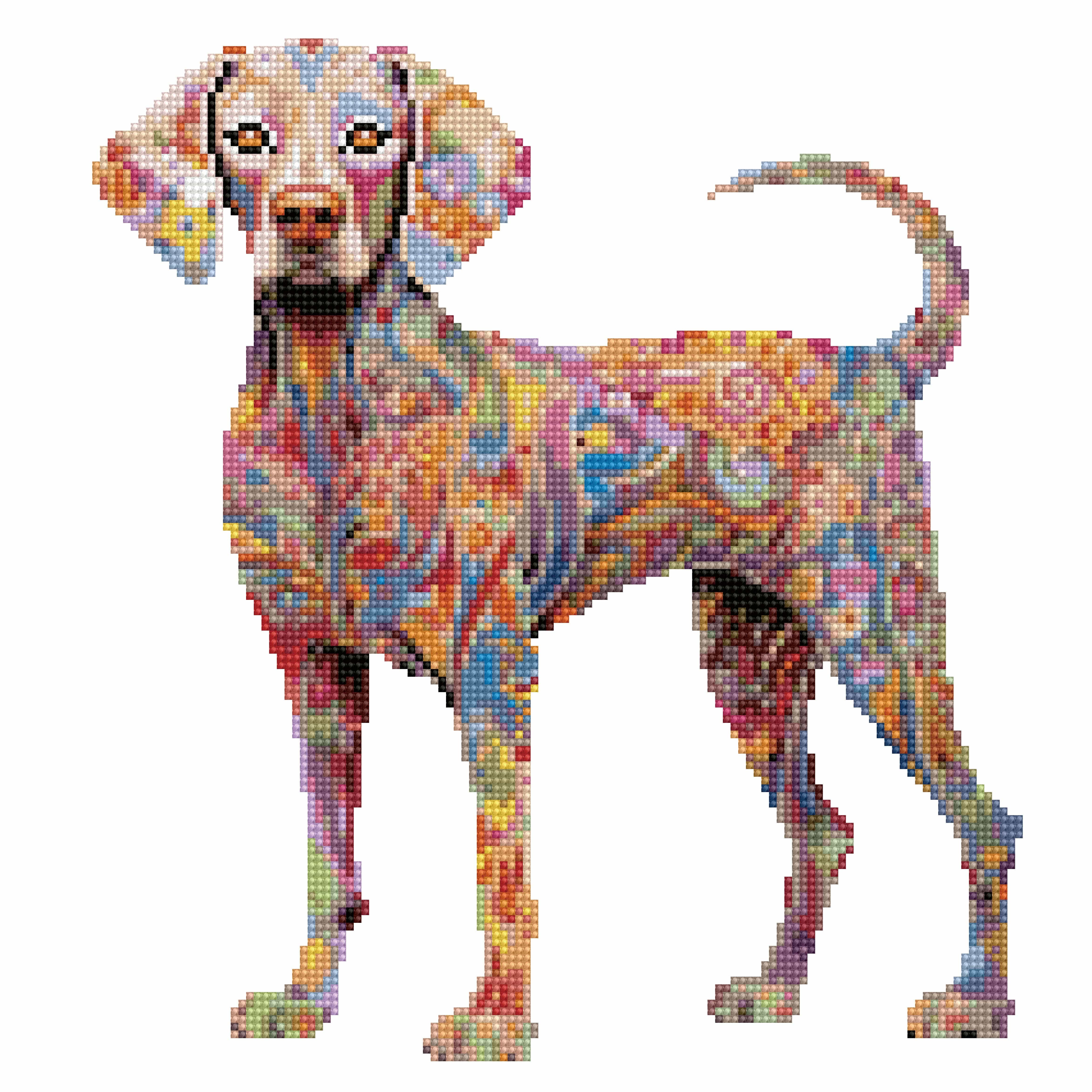 Weimaraner Dog - Diamond Painting Kit