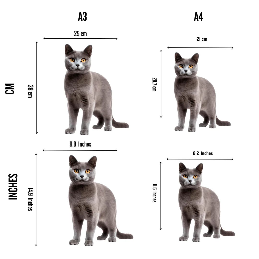 Russian Blue Cat - Jigsaw Puzzle