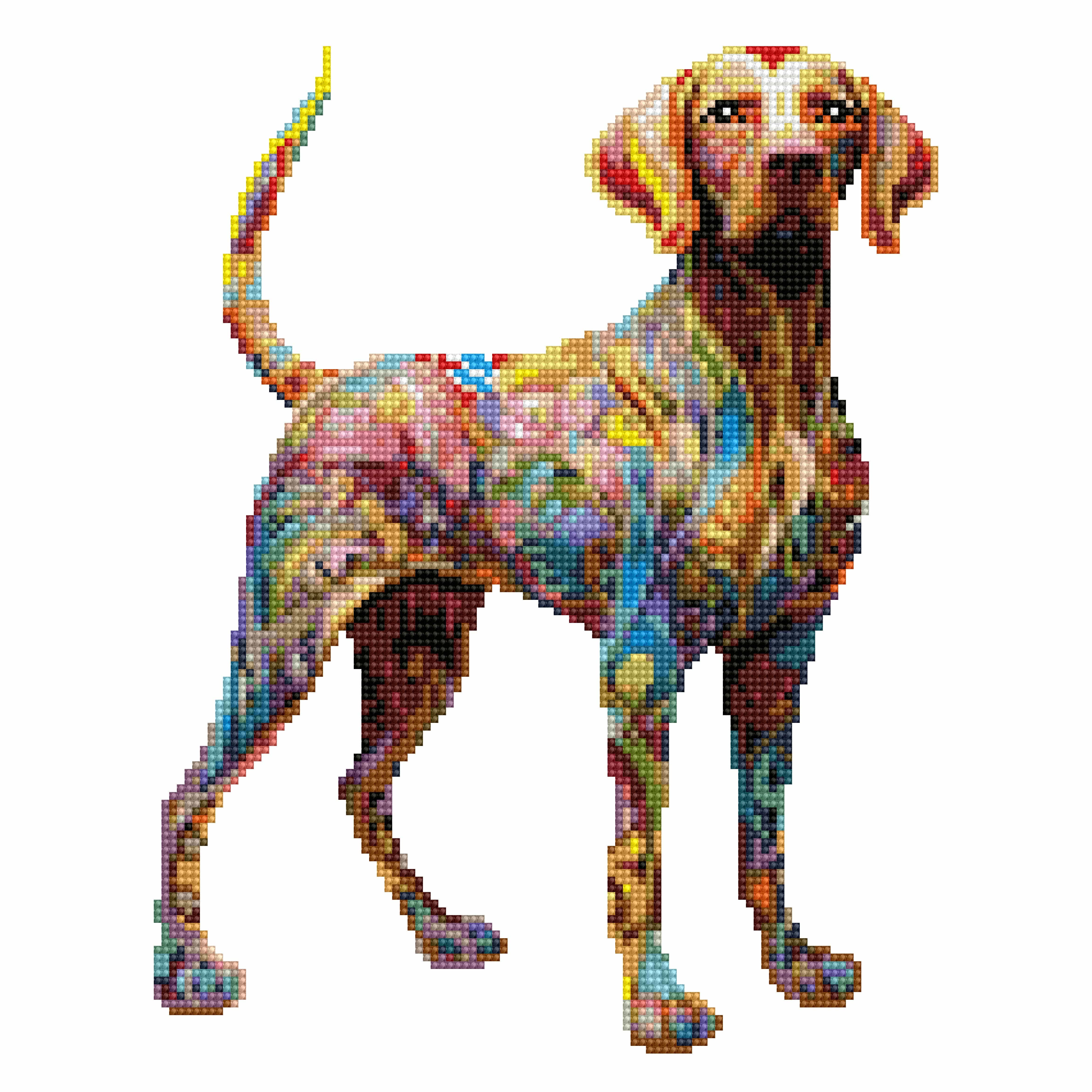 Vizsla Dog - Diamond Painting Kit