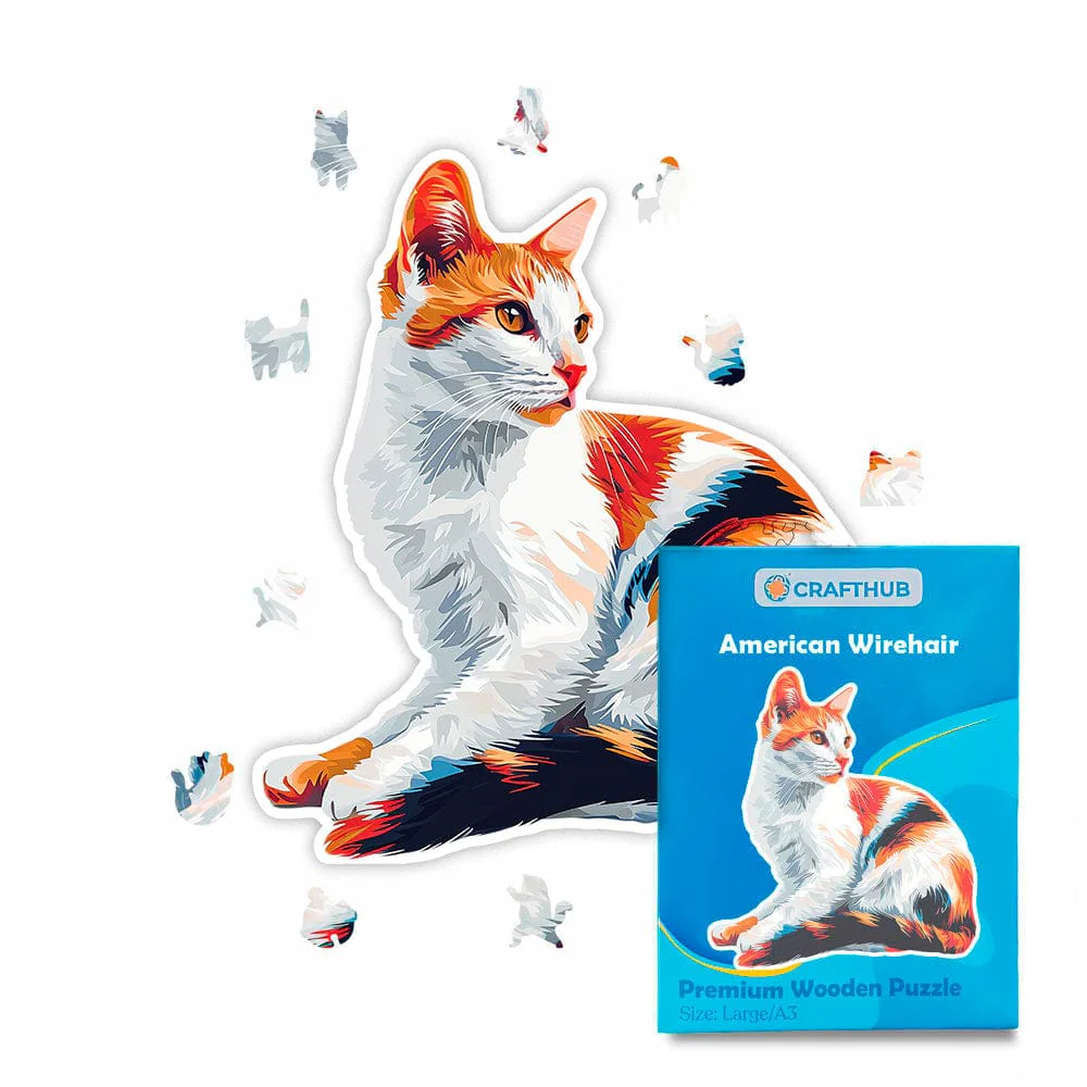 American Wirehair Cat - Jigsaw Puzzle