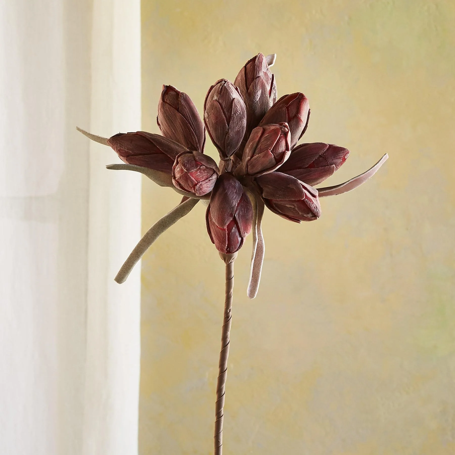 Bountiful Botanicals