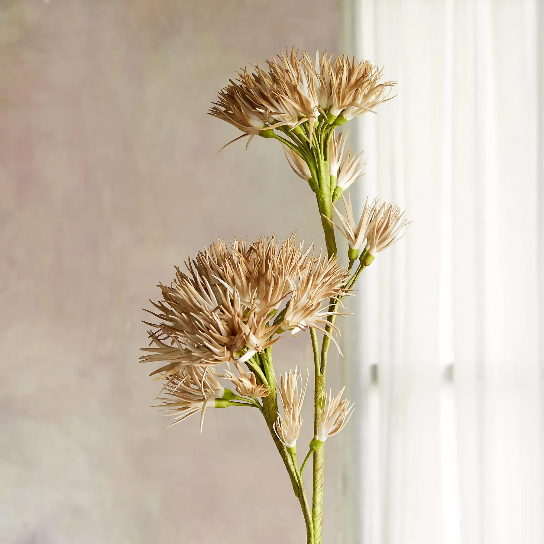 Bountiful Botanicals