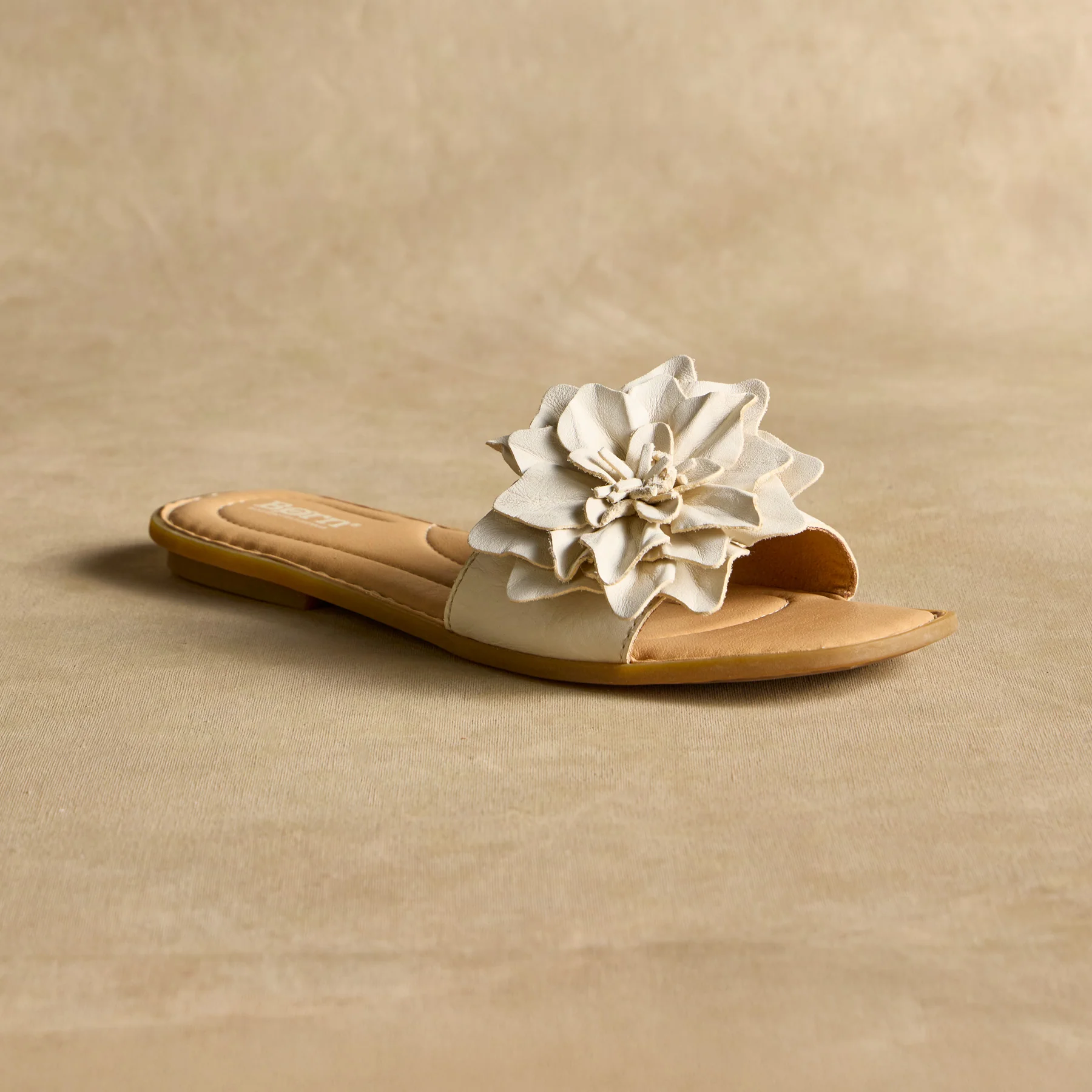 Hibiscus Slides