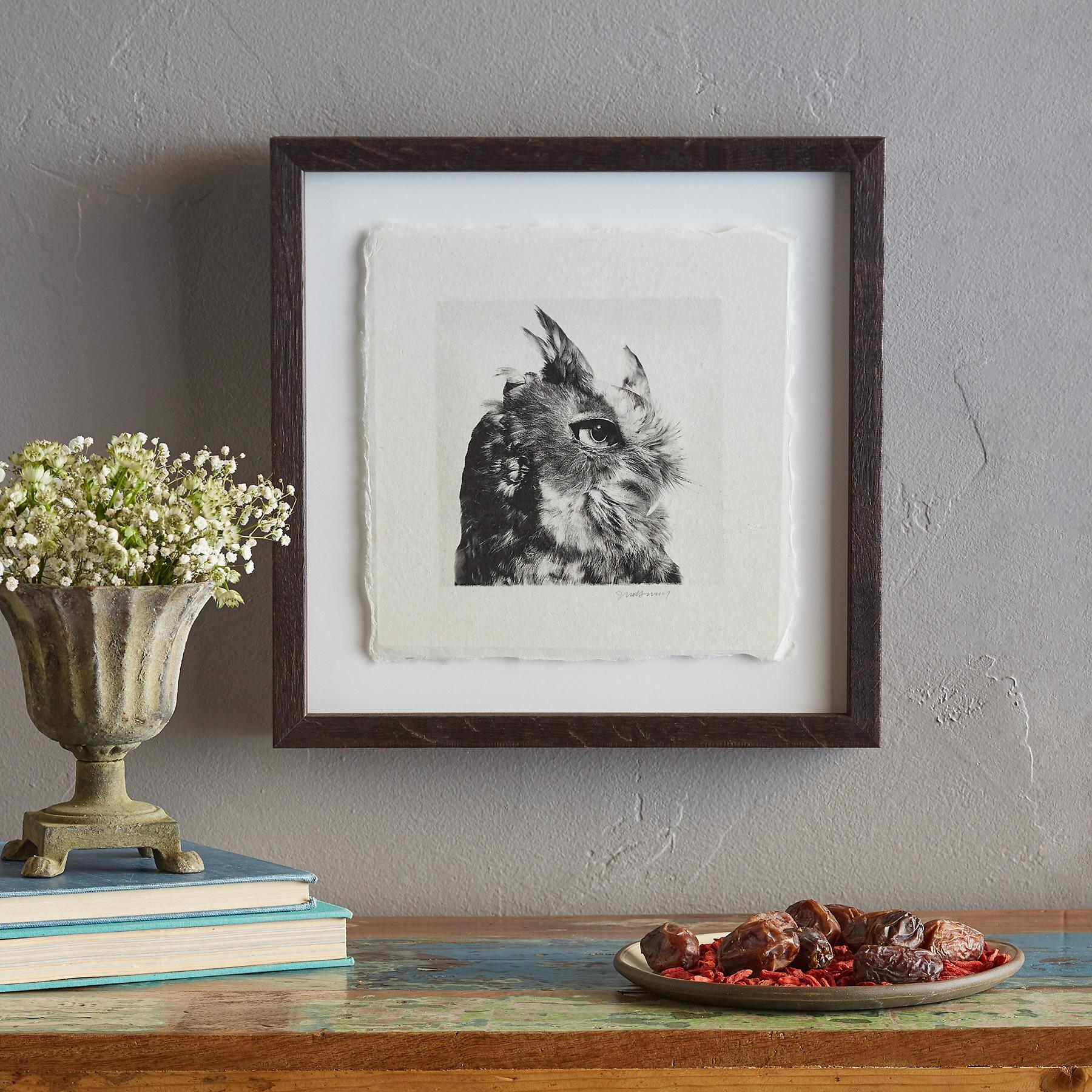 Owl Prints