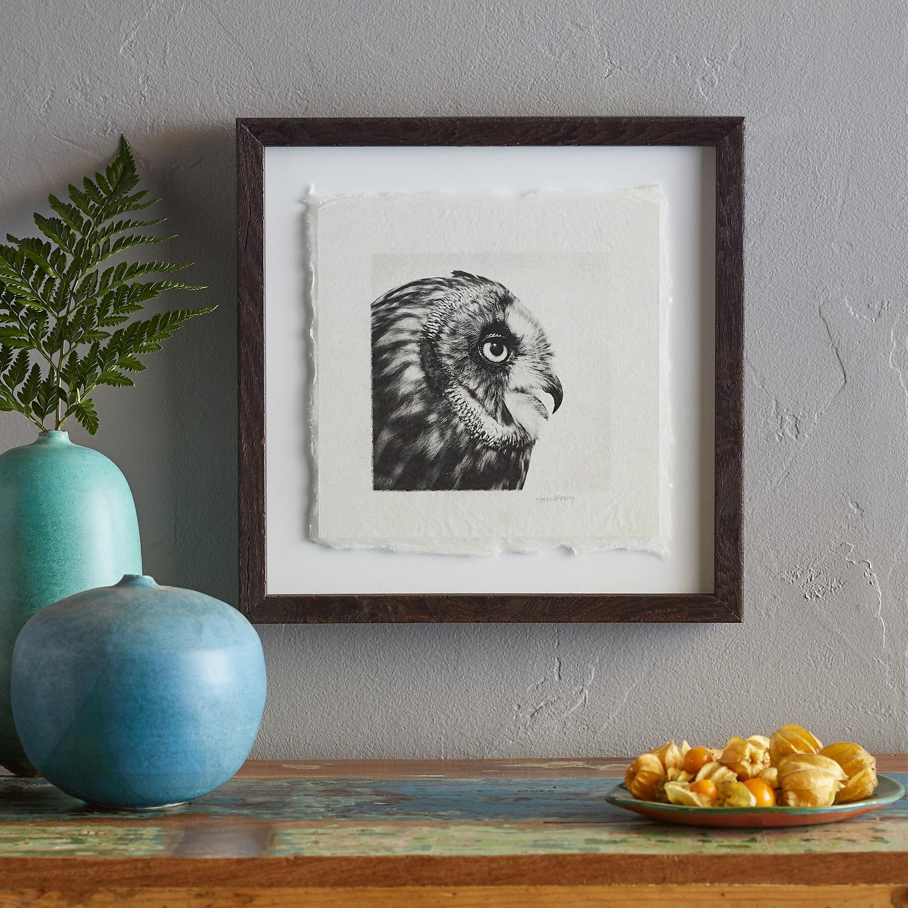 Owl Prints