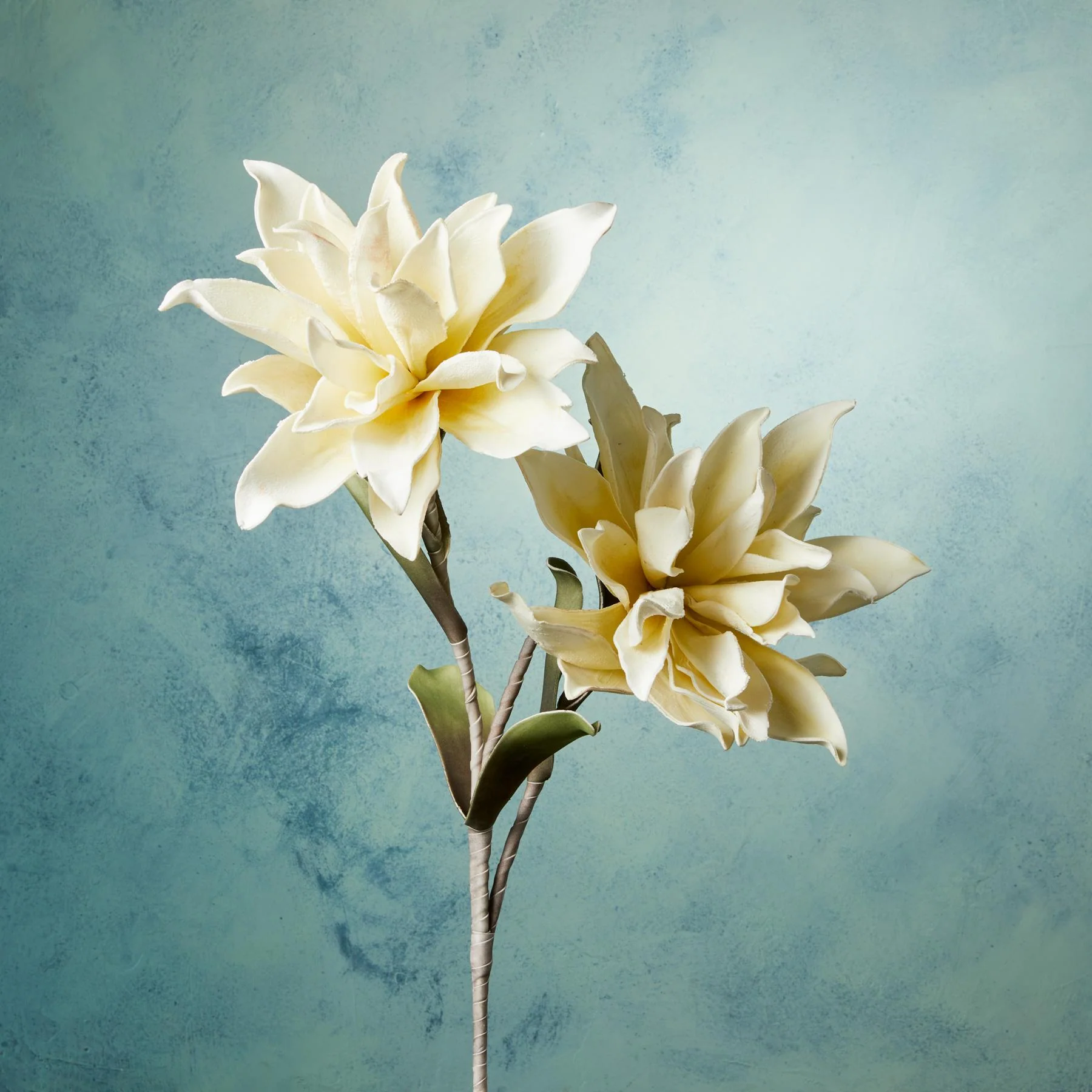 Bountiful Botanicals