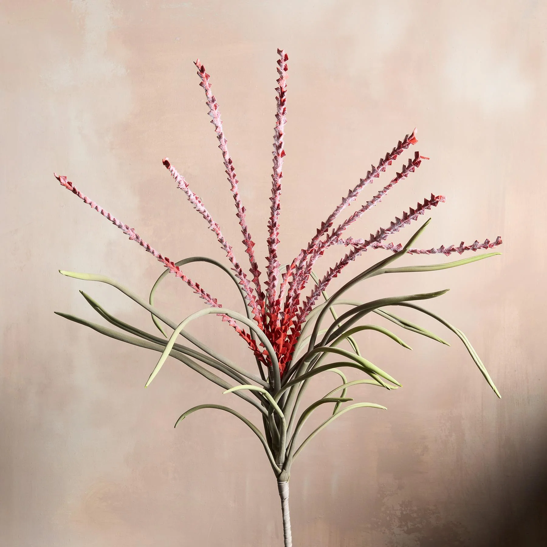 Bountiful Botanicals