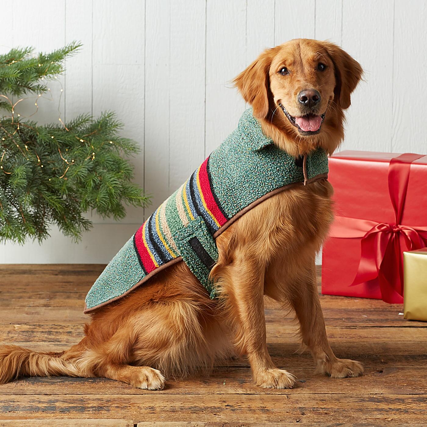 Yakima Dog Coat