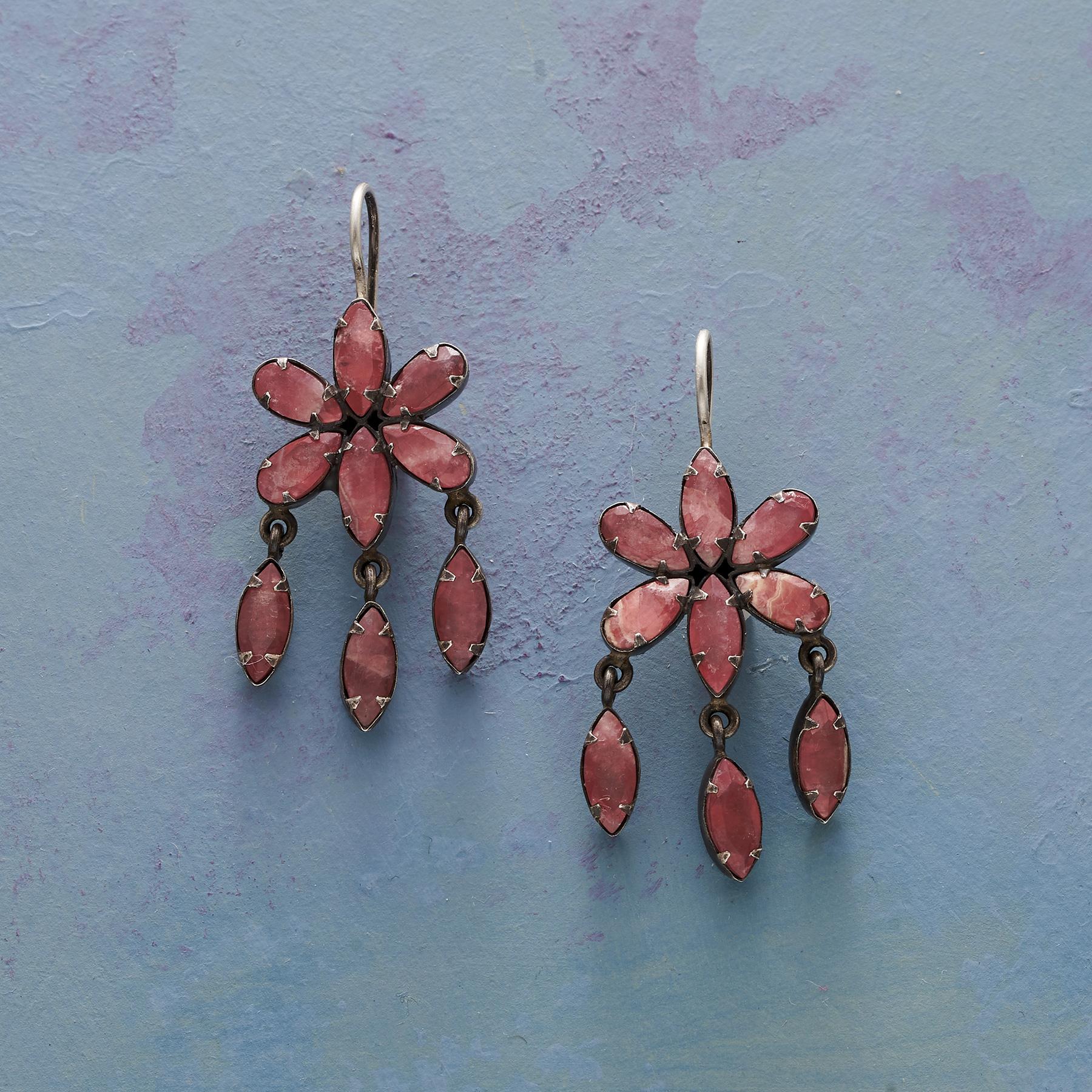 Petal To The Metal Earrings