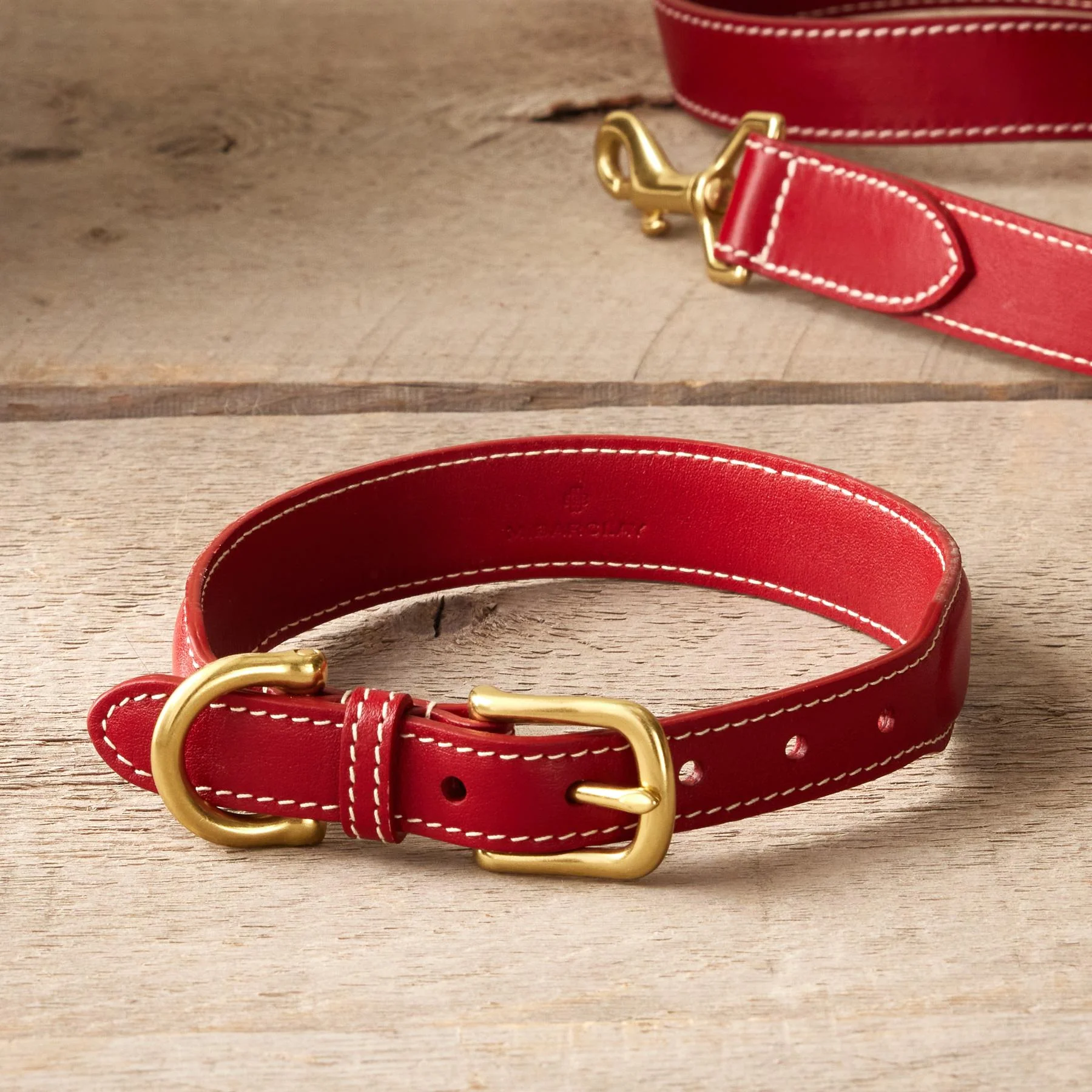 Sporty Dog Collar
