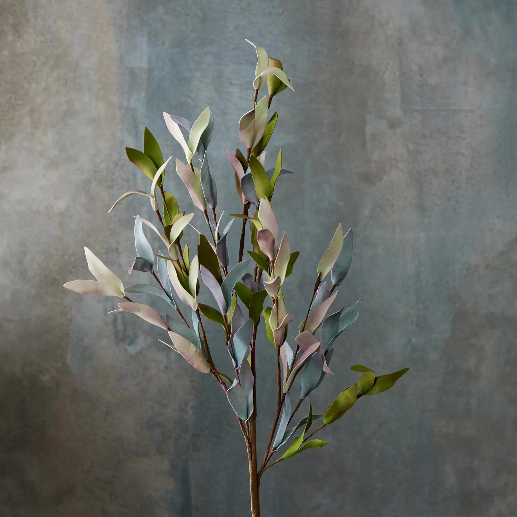 Bountiful Botanicals