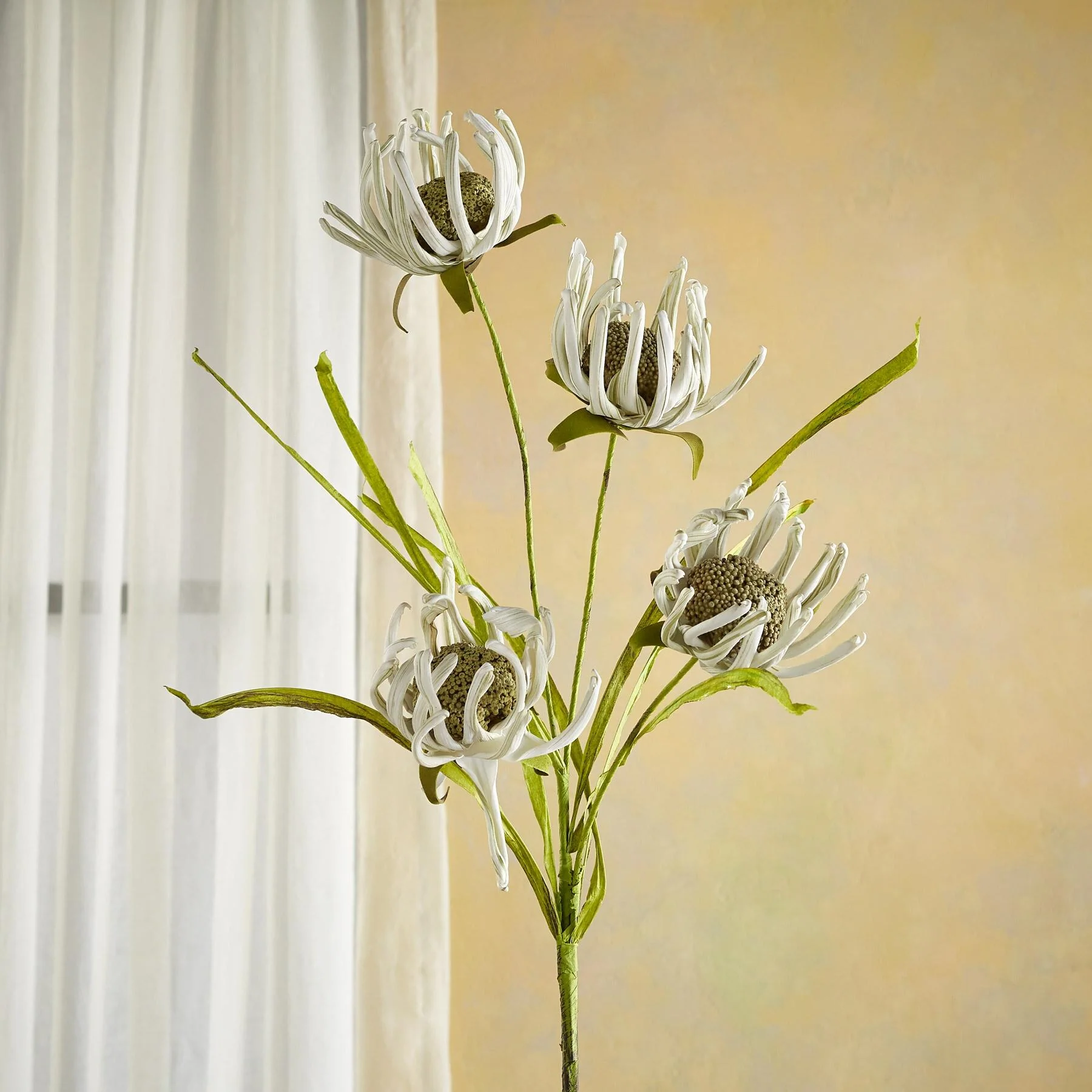 Bountiful Botanicals