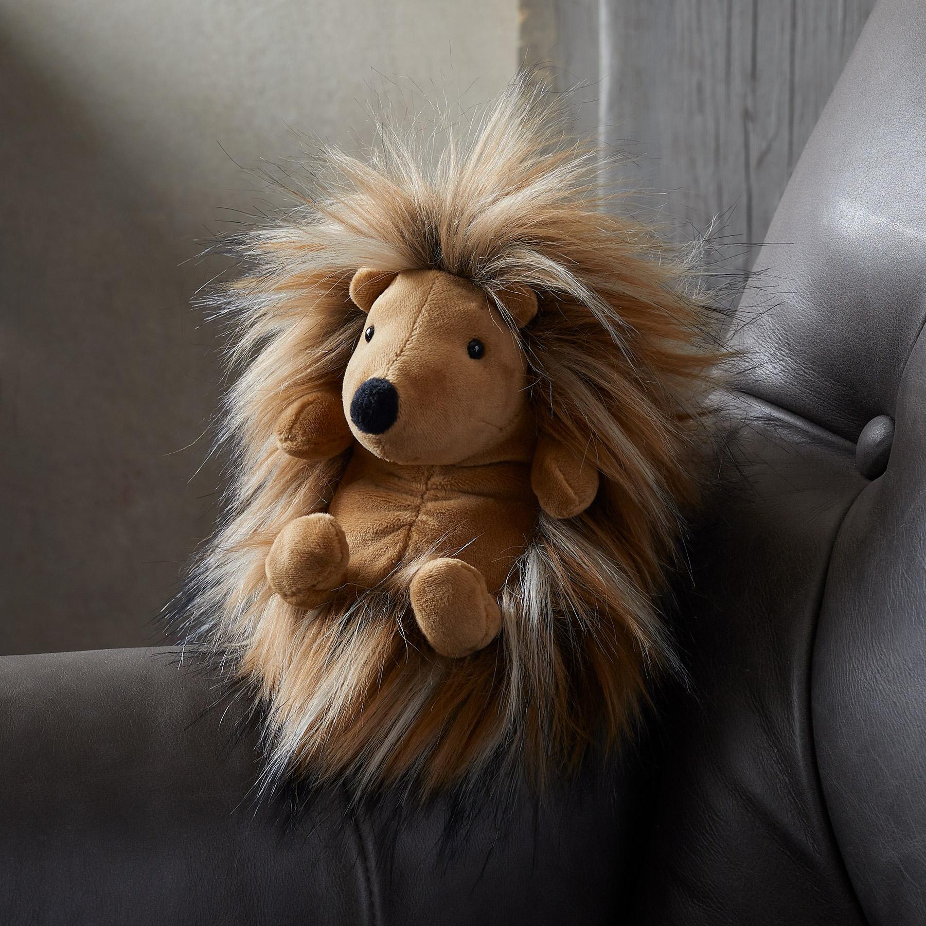 Didi The Hedgehog