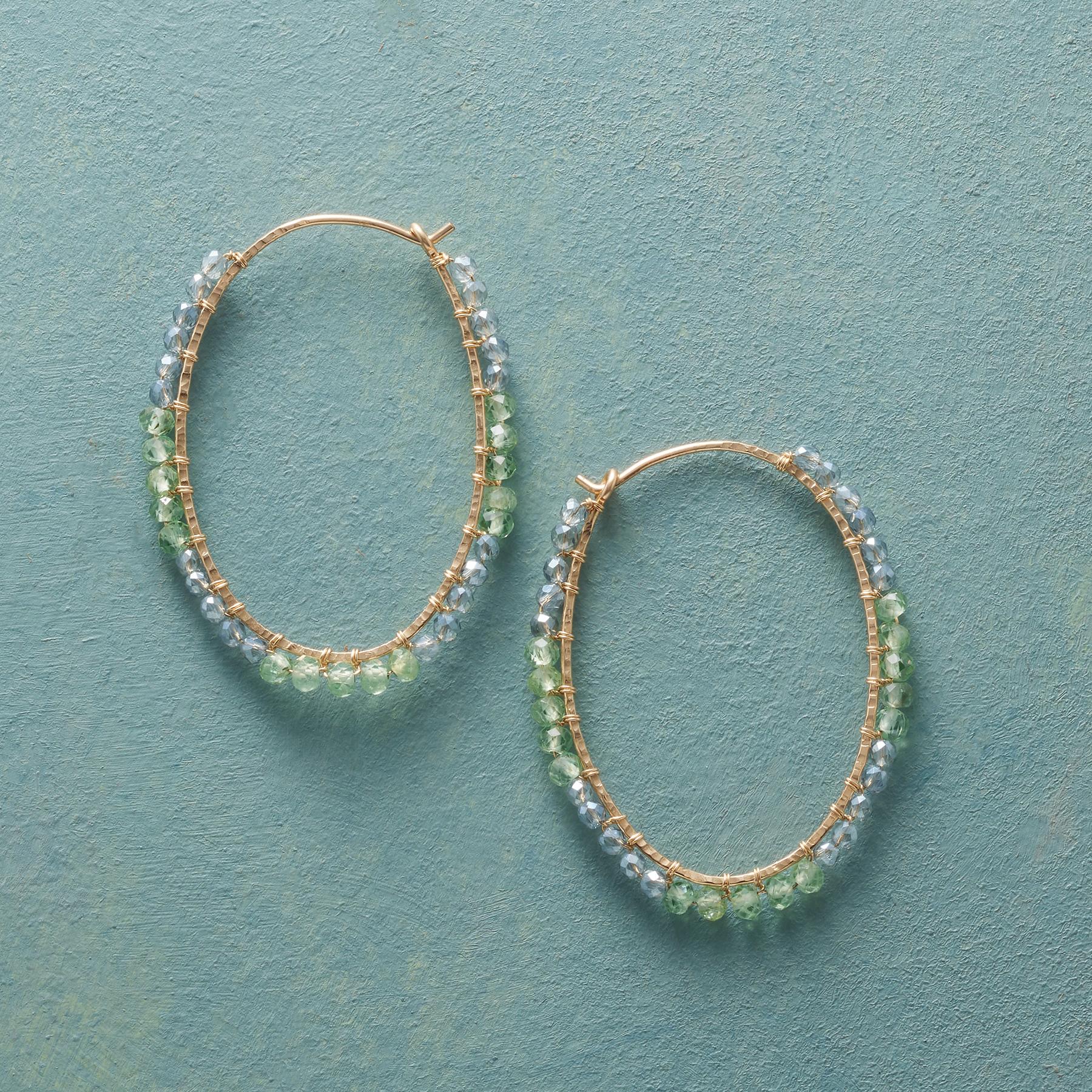 Roundabout Earrings