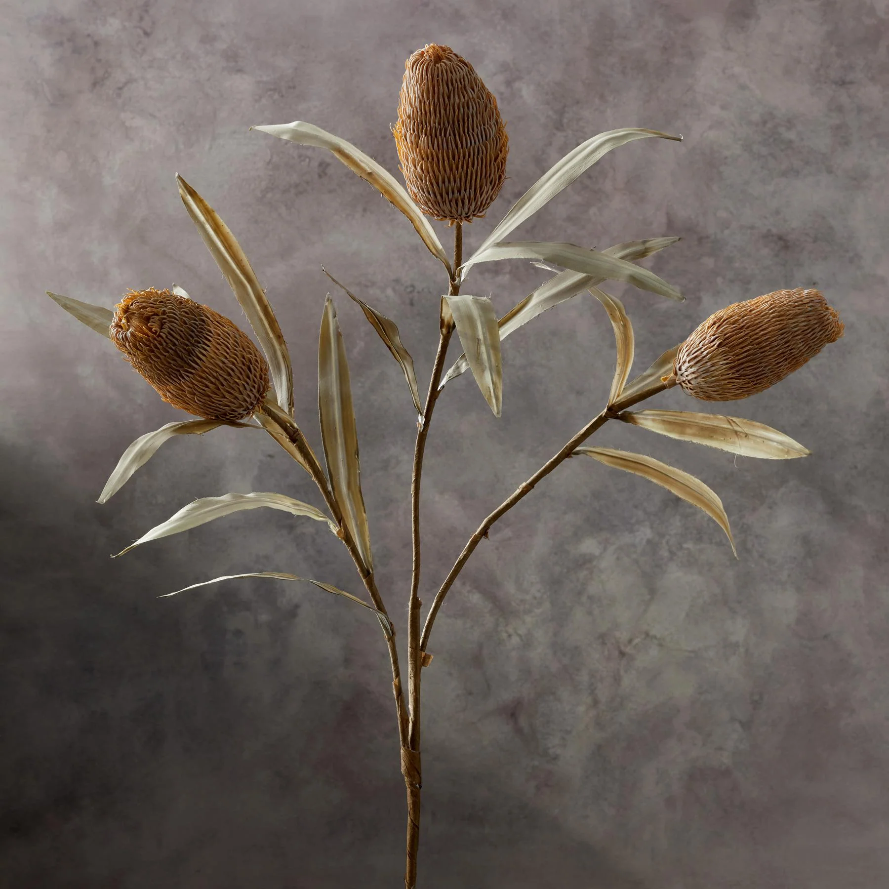 Bountiful Botanicals