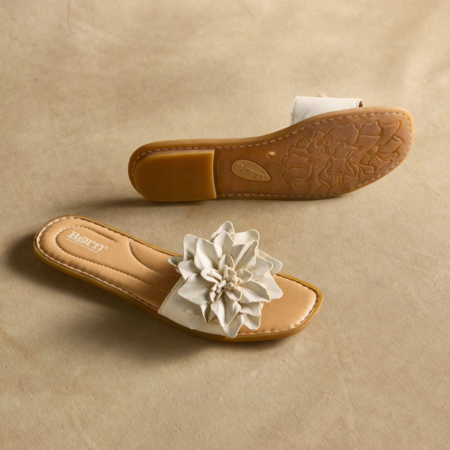 Hibiscus Slides