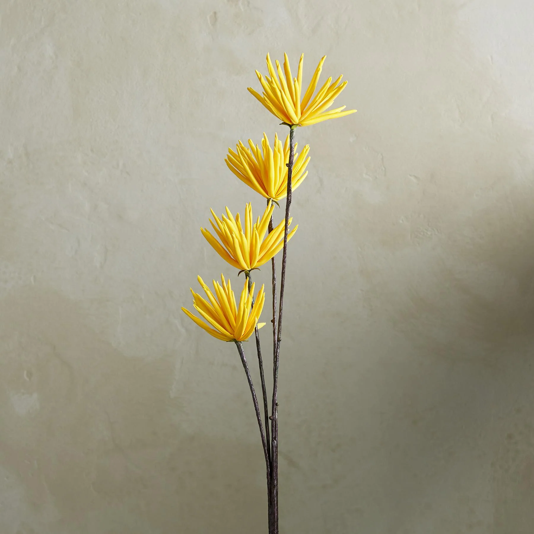 Bountiful Botanicals