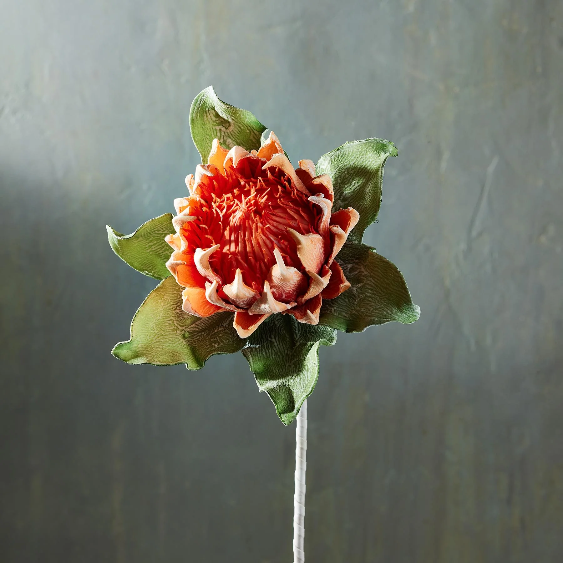 Bountiful Botanicals