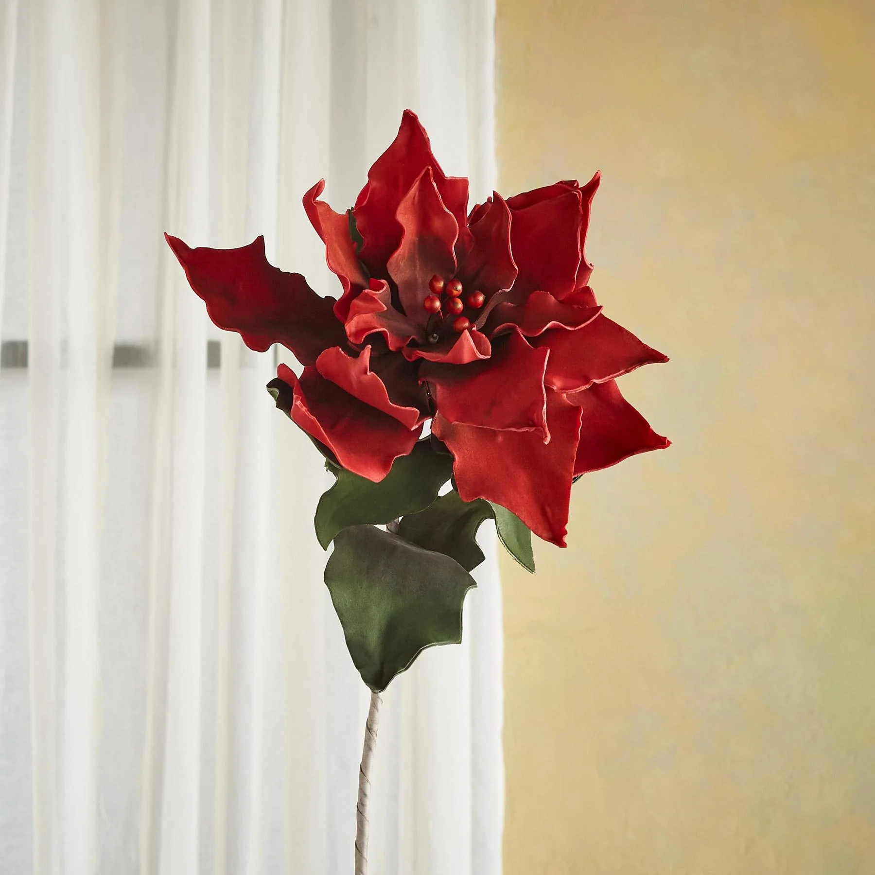 Bountiful Botanicals