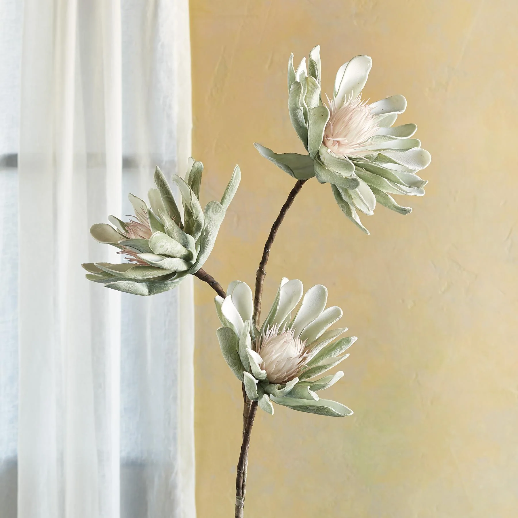 Bountiful Botanicals