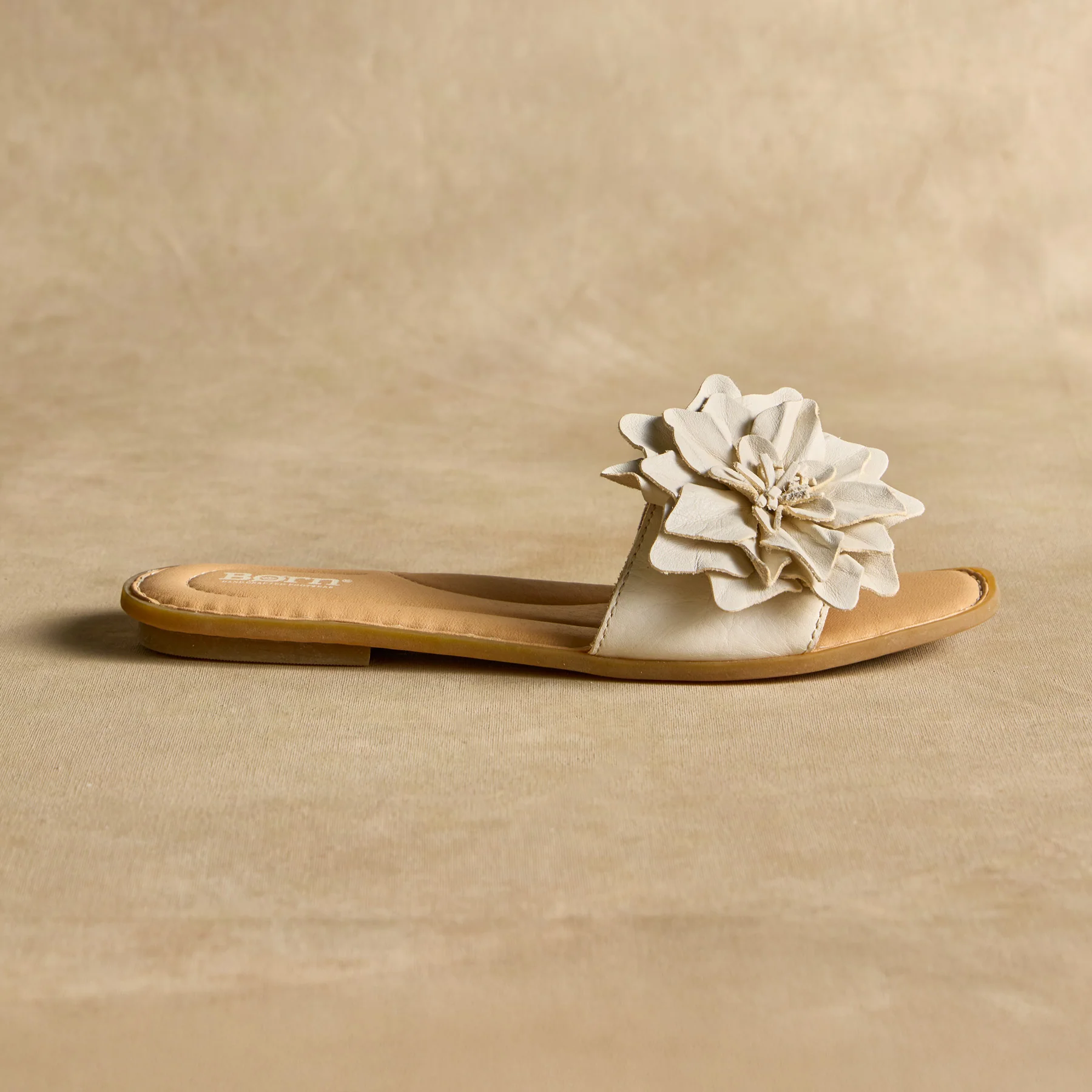 Hibiscus Slides