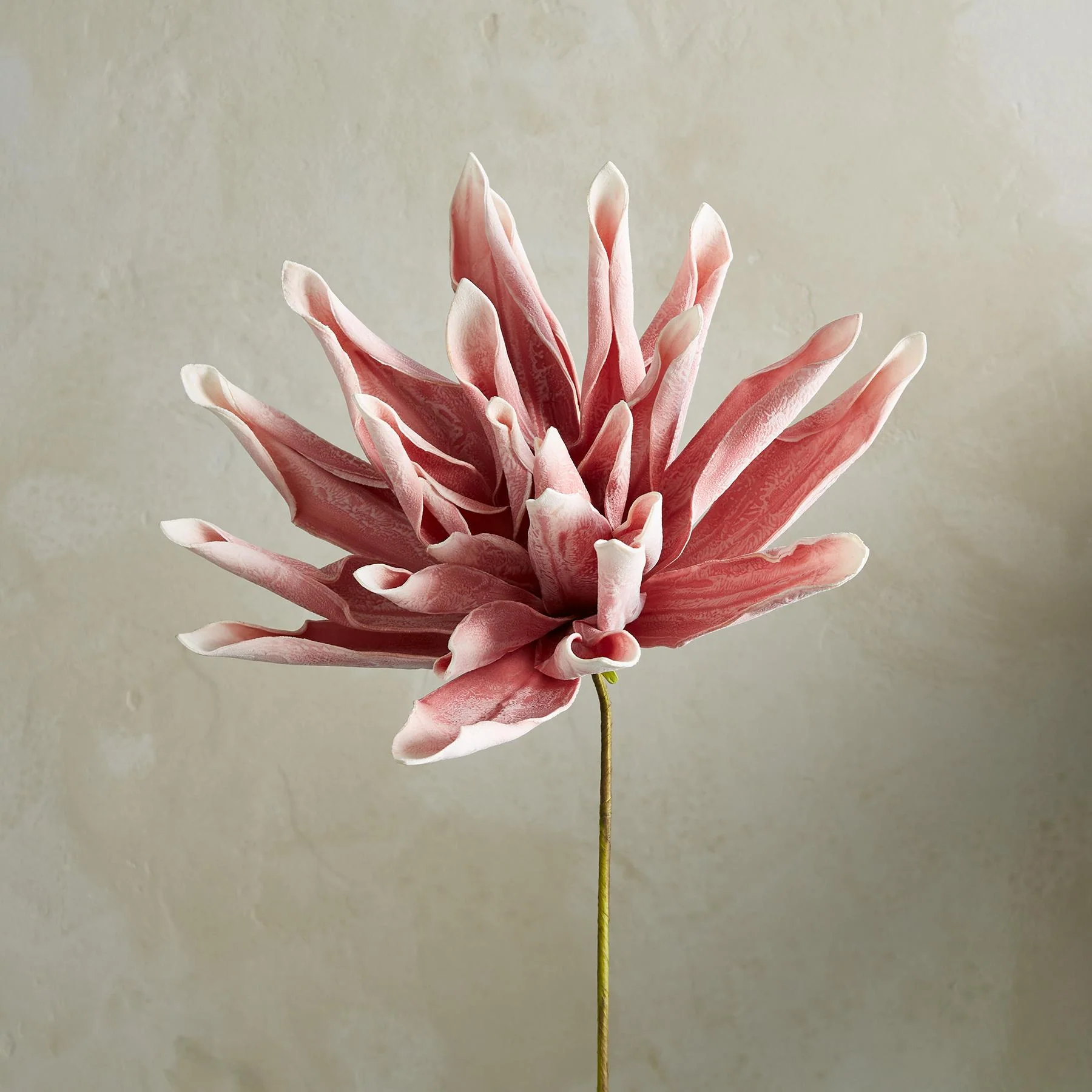 Bountiful Botanicals