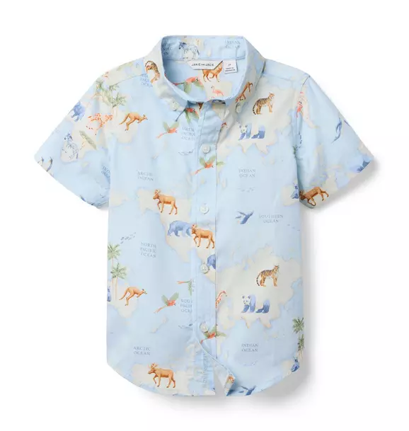 The Poplin Shirt