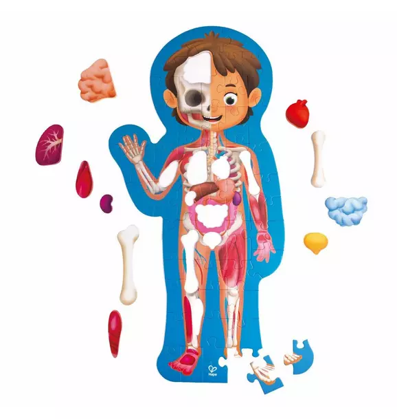 Human Body Puzzle - 60 Oversized Pieces