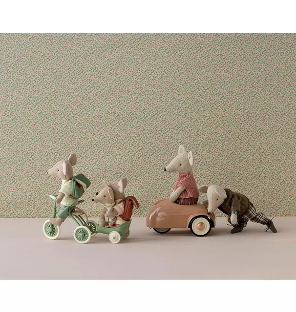 Abri a tricycle, Mouse - Green