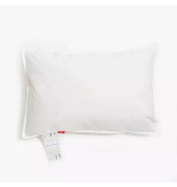 Adventures in Wonderland Toddler Pillow Set - Aqua