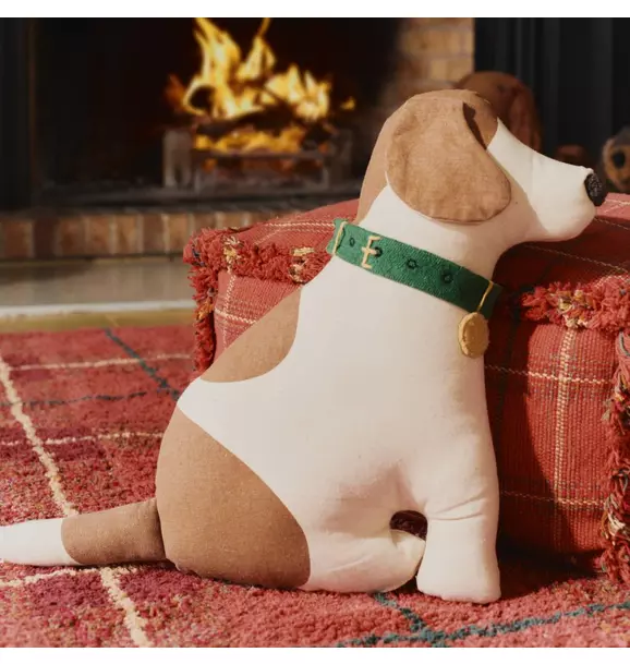 Cushion Cooper