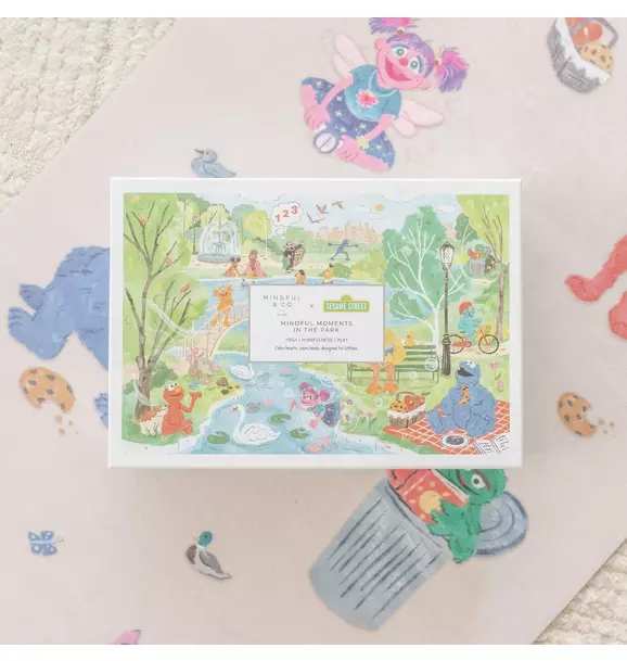 Sesame Street Adventure Bundle