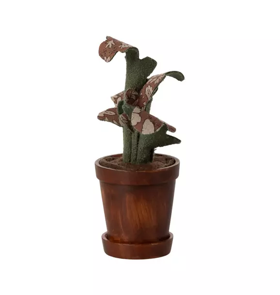 Flower pot with plant
