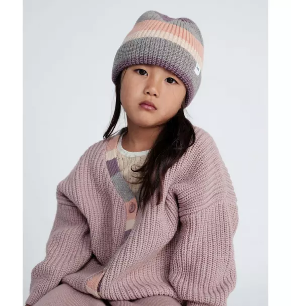 Beanie Stripe Chunky - Ash Rose Multicolor Stripe