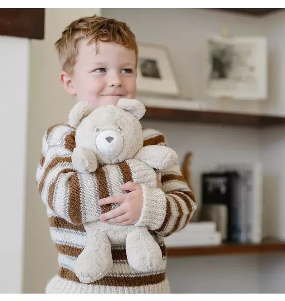 Stuffed Animal Bear