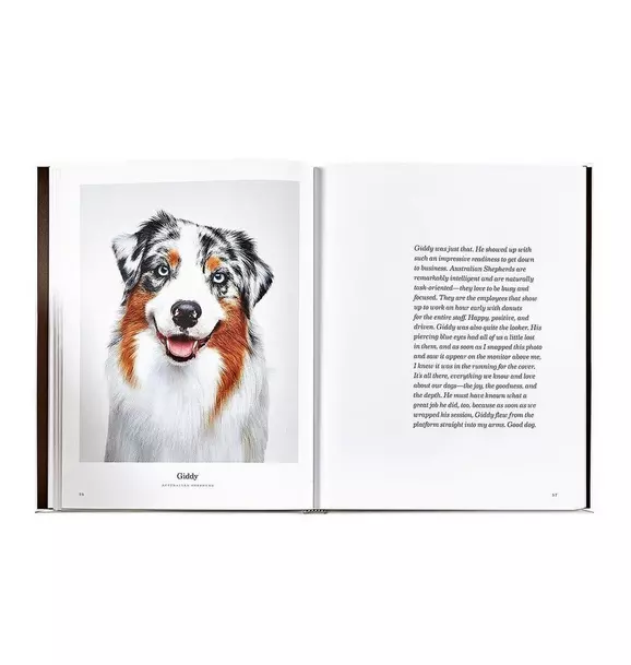 GOOD DOG  LEATHER EDITION