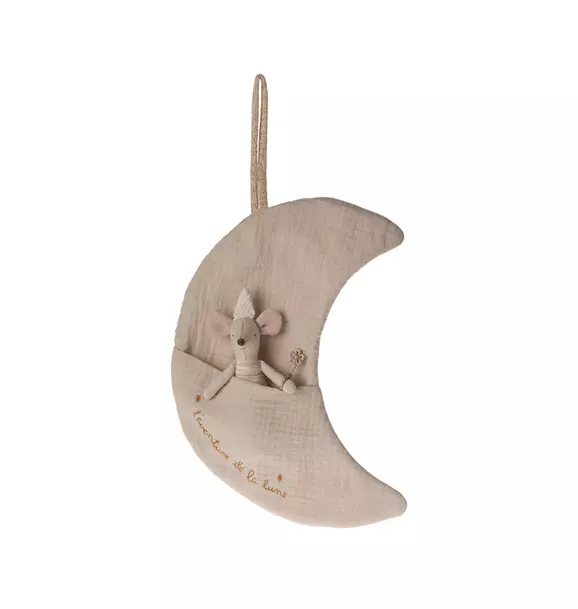 Moon, L'aventure de la Lune