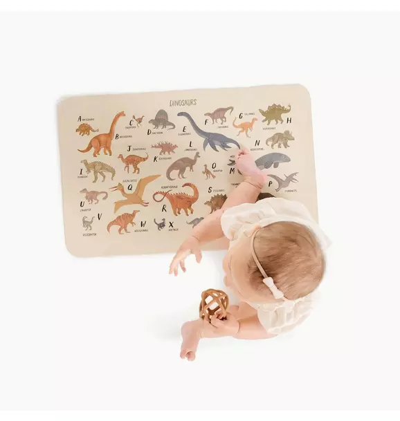 Dinosaur Alphabet Changing Mat