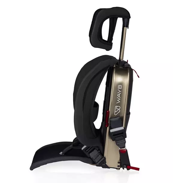 Pico Portable Car Seat