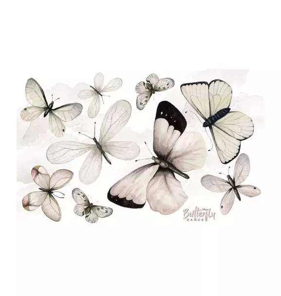 Butterfly Dance Wall Decal Set