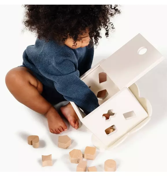 Shape Sorter
