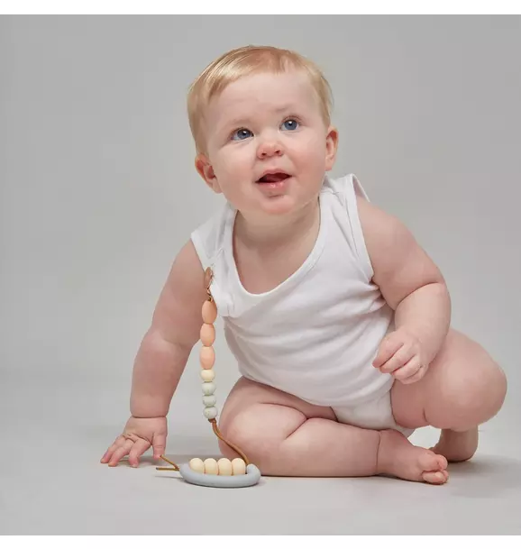 Dandelion Arch Teether + Clip Set