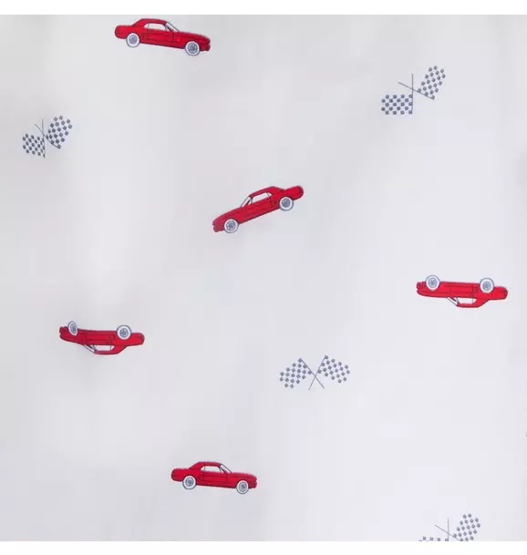 The Poplin Shirt