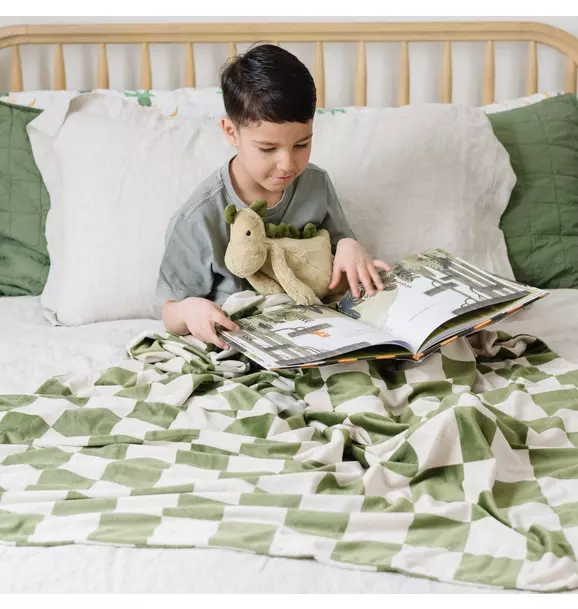 Minky Stretch Receiving Blanket in Olive Checkered