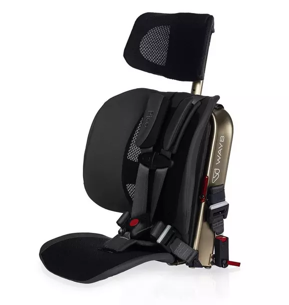 Pico Portable Car Seat