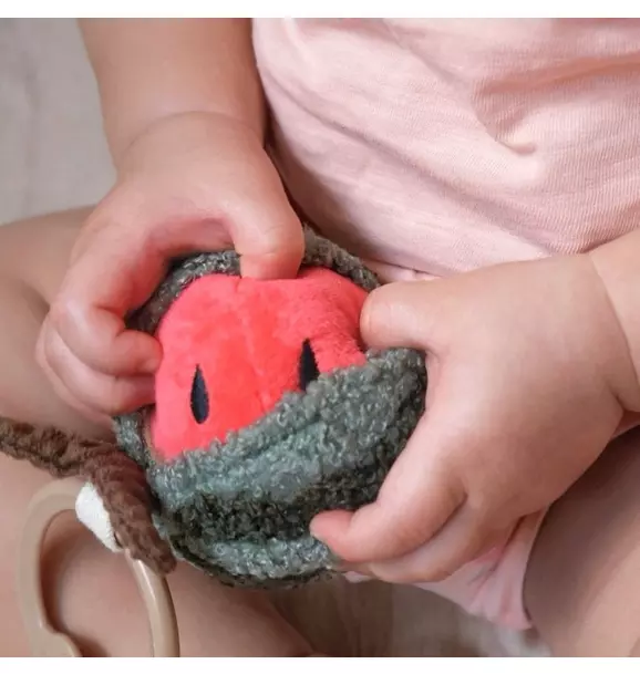 Watermelon Rattle