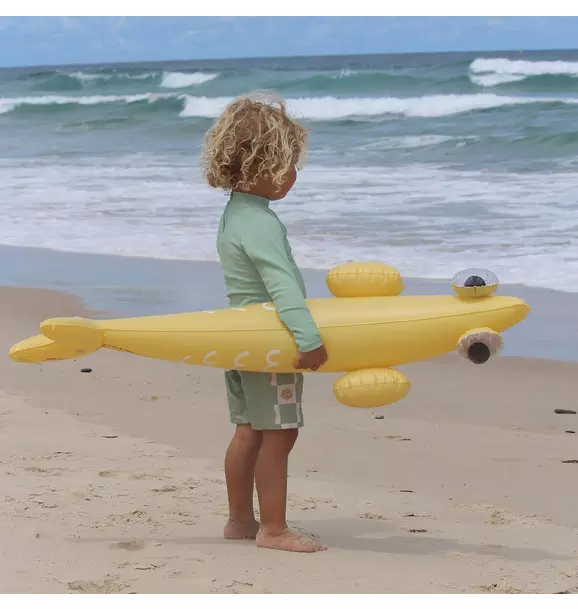 Inflatable Pool Noodle: Finn the Fish (Set of 2)