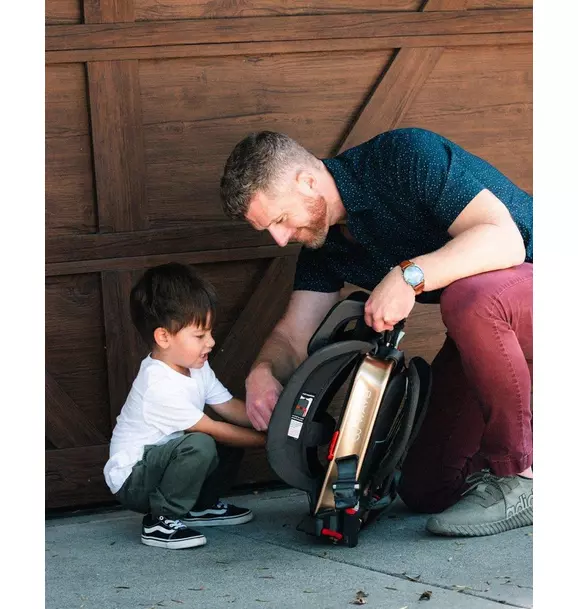 Pico Portable Car Seat